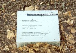 kerguehenec4.jpg